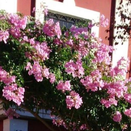 הוילה Salteras Casa Bignonia מראה חיצוני תמונה