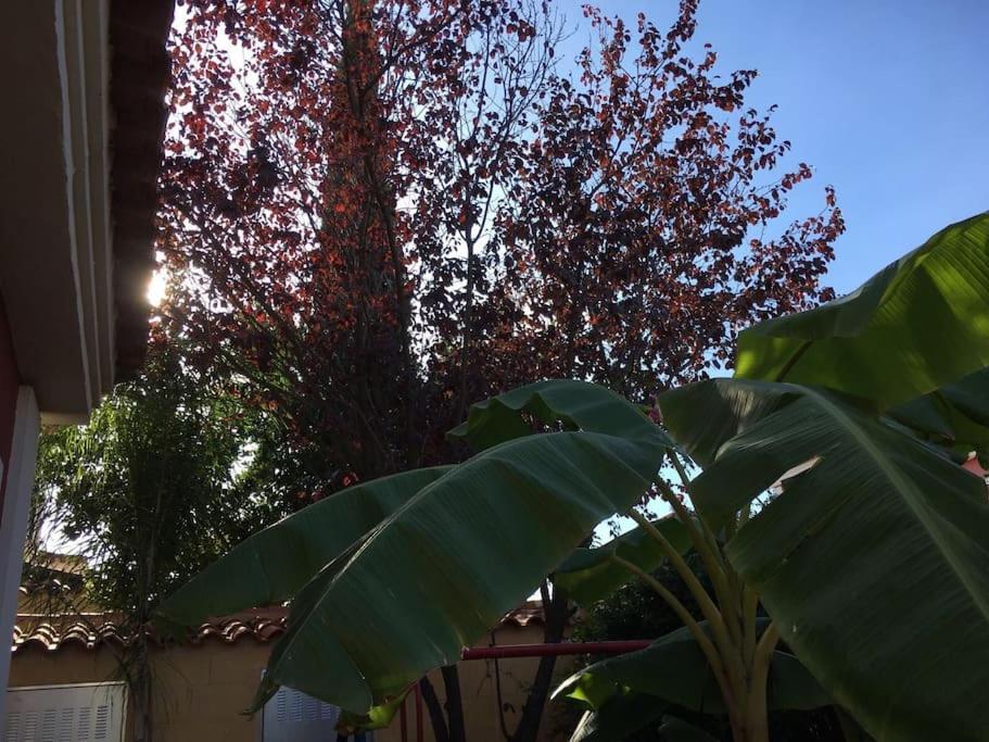 הוילה Salteras Casa Bignonia מראה חיצוני תמונה