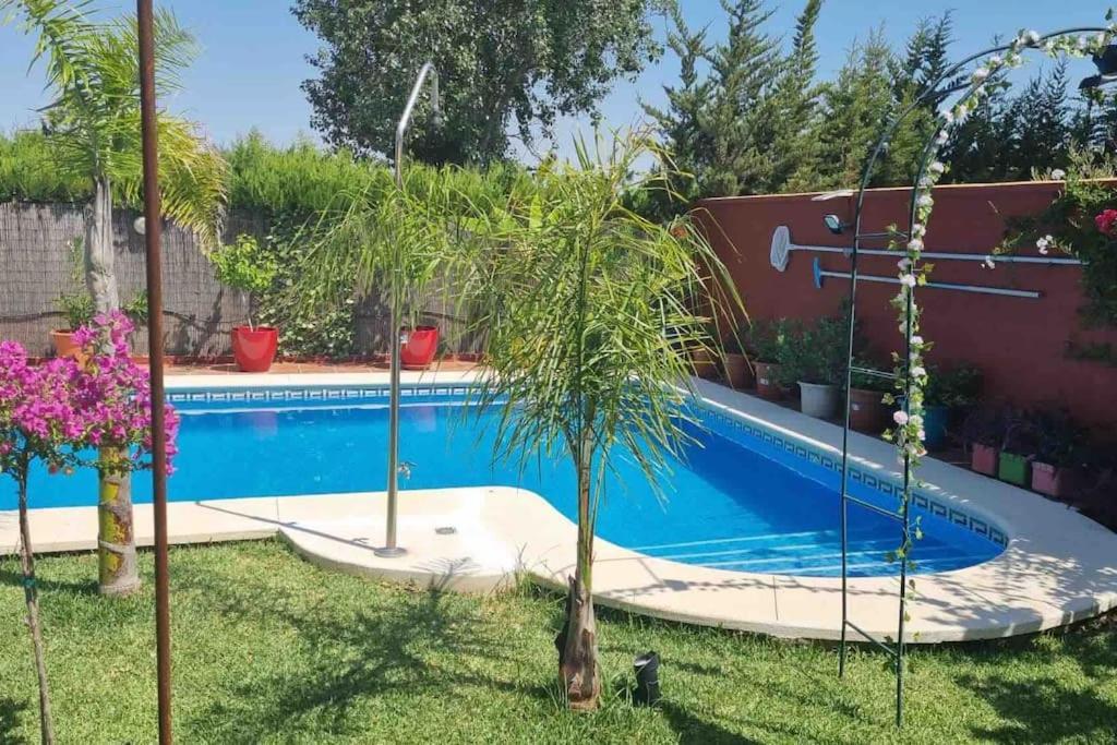 הוילה Salteras Casa Bignonia מראה חיצוני תמונה